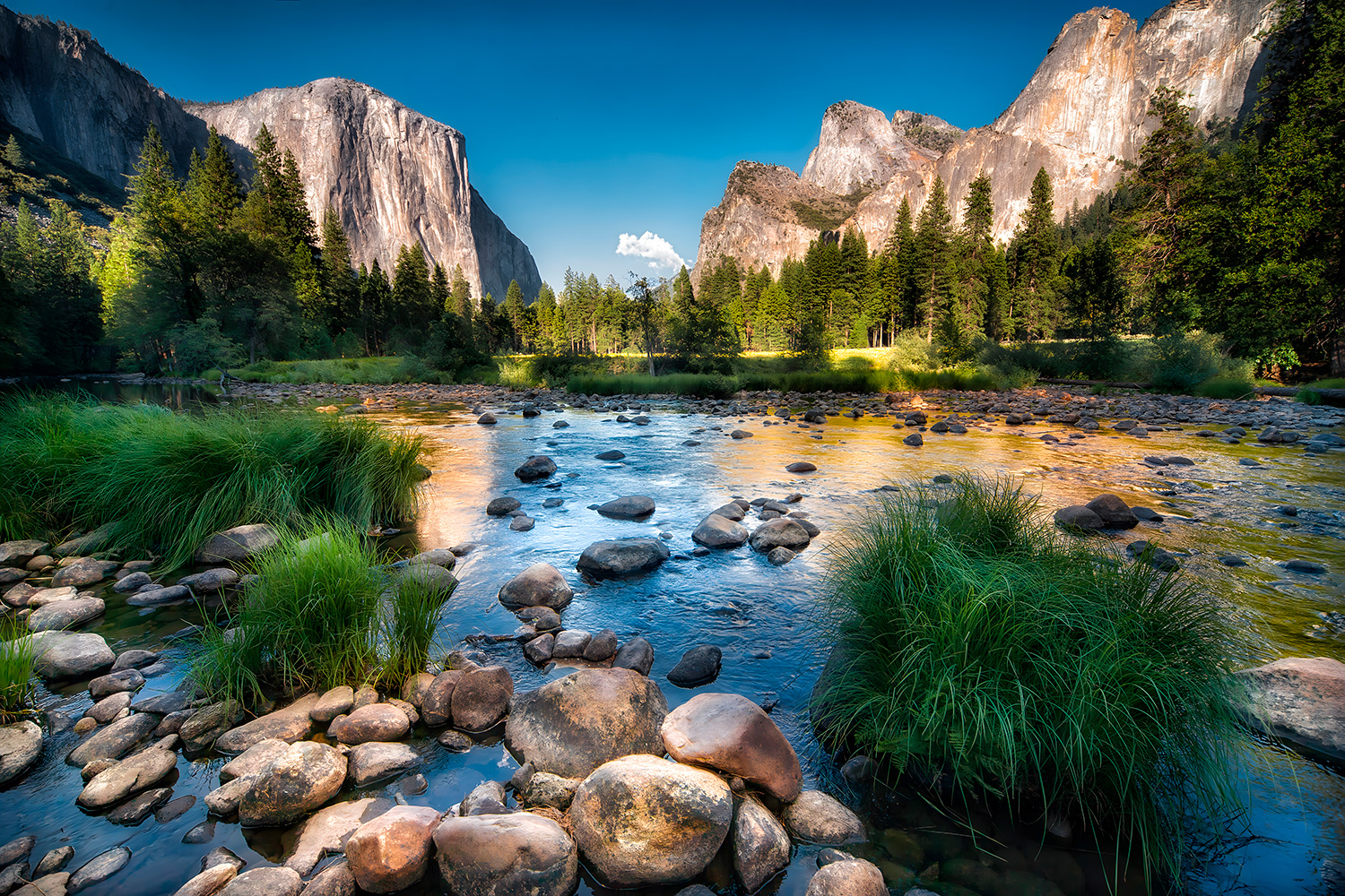 Wall Murals: Yosemite National Park