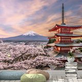 Wall Murals: Mount Fuji 2