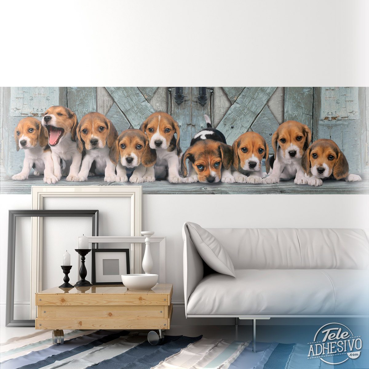 Wall Murals: Beagle puppies