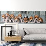 Wall Murals: Beagle puppies 2