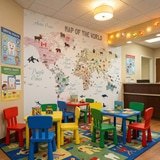 Wall Murals: Children's world map with flags and animals 13