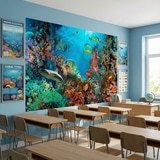 Wall Murals: Seabed 8