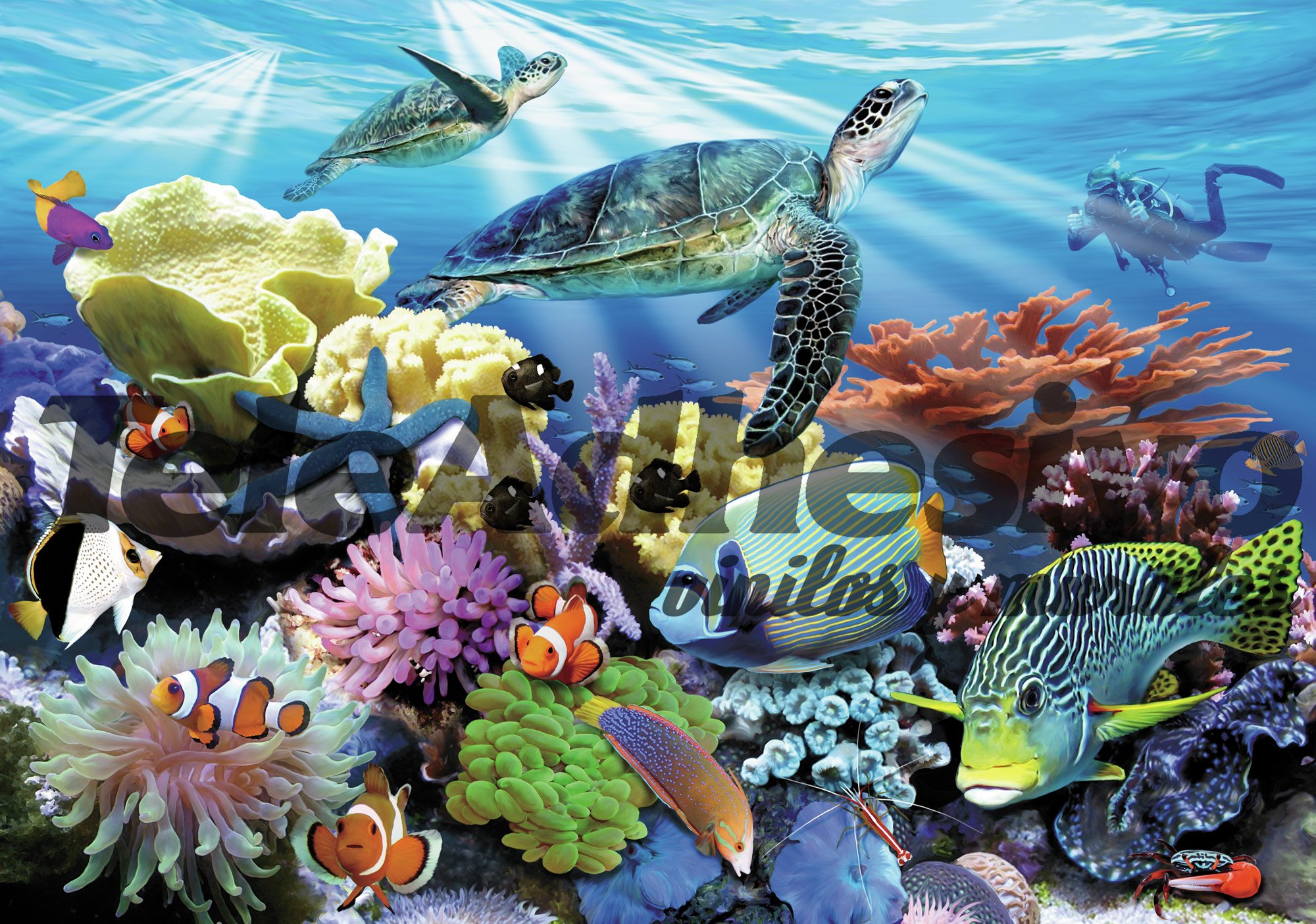 Wall Murals: Bottom of the sea