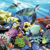 Wall Murals: Bottom of the sea 2