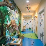 Wall Murals: Nature Jungle 6