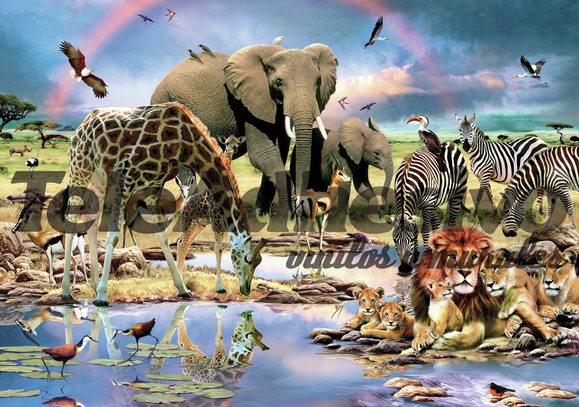 Wall Murals: Nature Savannah