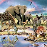 Wall Murals: Nature Savannah 2