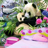 Wall Murals: Panda 3