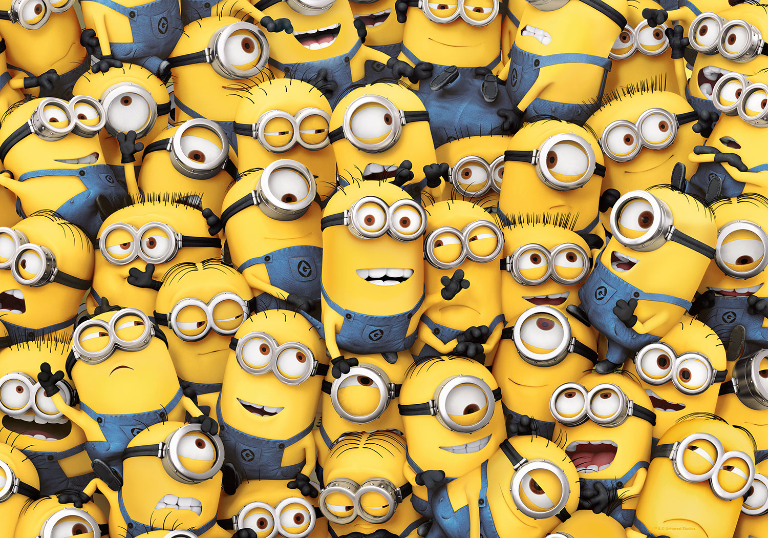 Wall Murals: Minions