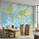 Wall Murals: Physical World Map 11
