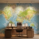 Wall Murals: Physical World Map 3