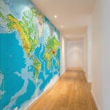 Wall Murals: World Map in Relief 11