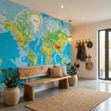 Wall Murals: World Map Relief 17