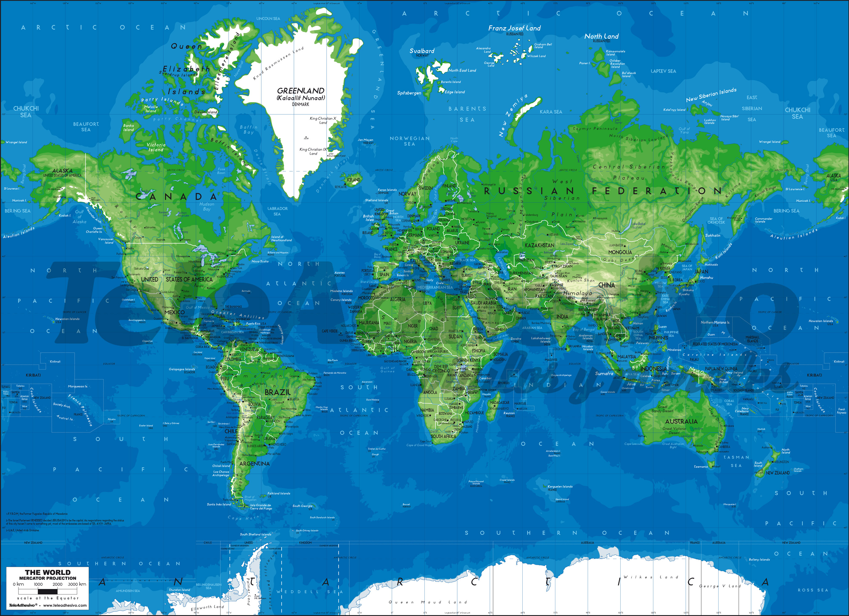 Wall Murals: World Map blue and green