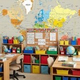 Wall Murals: Political World Map Continents 18