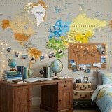Wall Murals: Political World Map Continents 6