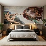 Wall Murals: Creation of Adam, Michelangelo 14