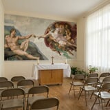 Wall Murals: Creation of Adam, Michelangelo 19