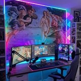 Wall Murals: Birth of Venus, Botticelli 16