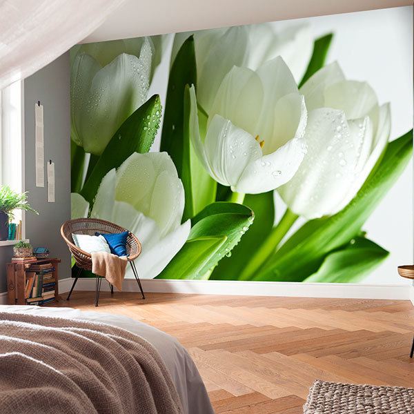 Wall Murals: White tulips