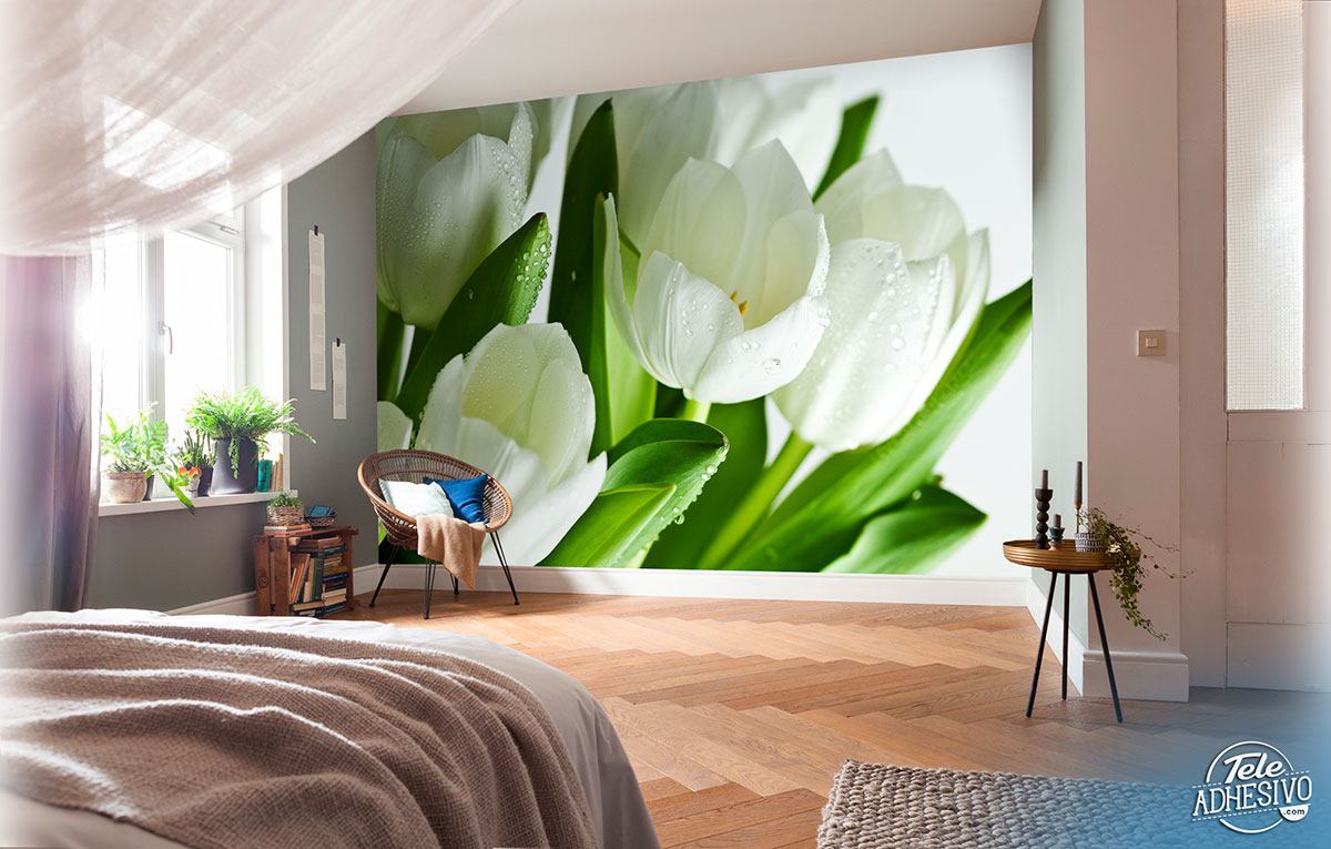 Wall Murals: White tulips