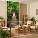 Wall Murals: Bridge in the Amazon 8