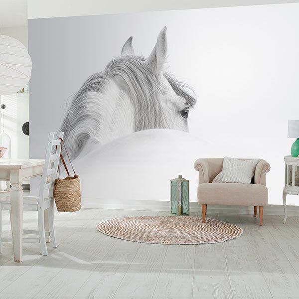 Wall Murals: White horse