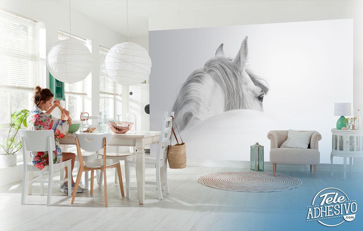 Wall Murals: White horse