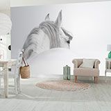 Wall Murals: White horse 2