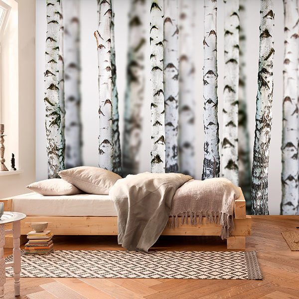 Wall Murals: Birch Forest 0