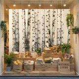 Wall Murals: Birch Forest 17