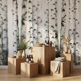 Wall Murals: Birch Forest 20