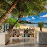 Wall Murals: Caribbean Palm Trees 8