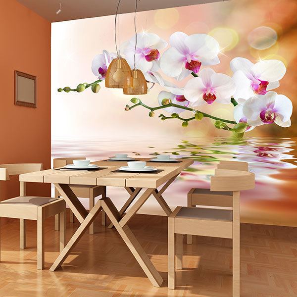 Wall Murals: Orchids