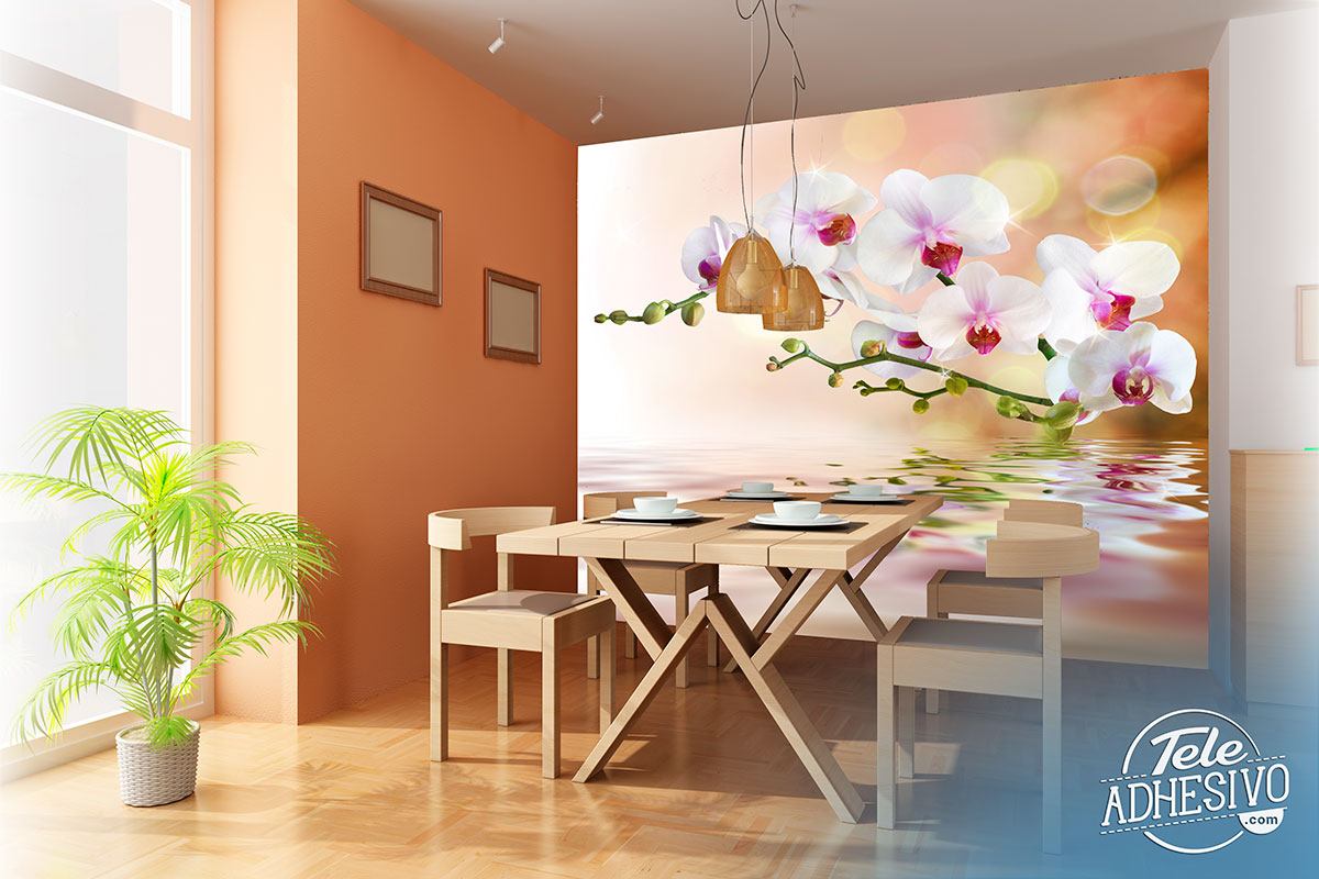 Wall Murals: Orchids