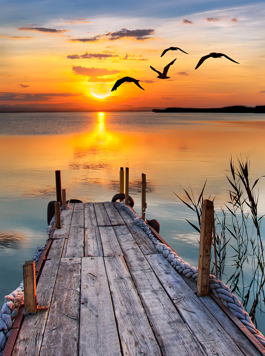 Wall Murals: Sunset on the pier
