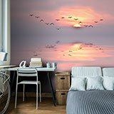 Wall Murals: Sunset among seagulls 2