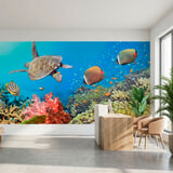 Wall Murals: Underwater Panorama 2
