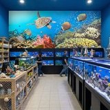 Wall Murals: Underwater Panorama 13