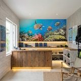 Wall Murals: Underwater Panorama 15