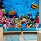 Wall Murals: Colors under the sea 11