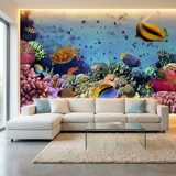 Wall Murals: Colors under the sea 13
