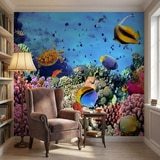 Wall Murals: Colors under the sea 18