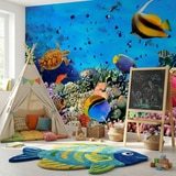 Wall Murals: Colors under the sea 5
