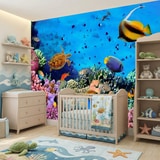 Wall Murals: Colors under the sea 8