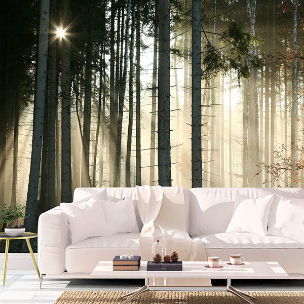 Wall Murals: Glow in the woods 0