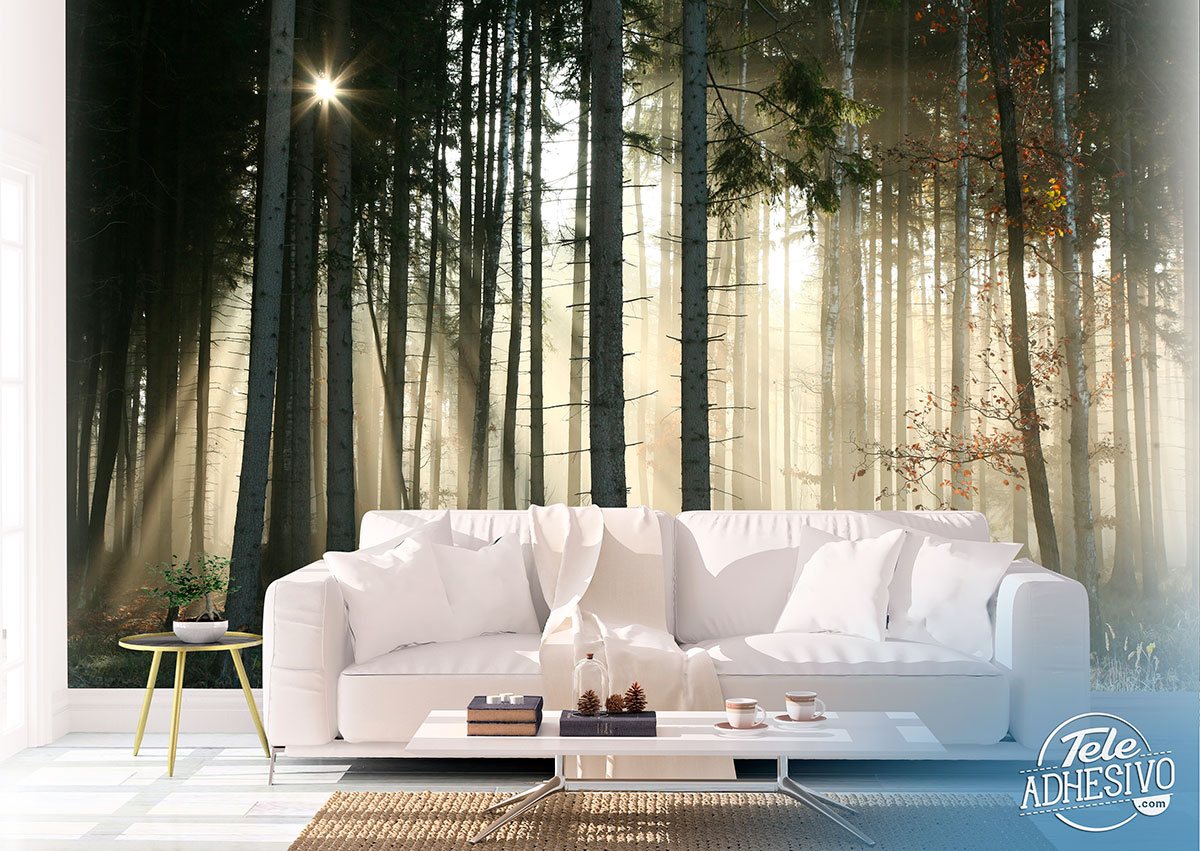 Wall Murals: Glow in the woods