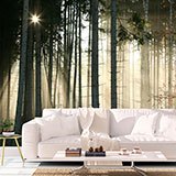 Wall Murals: Glow in the woods 2