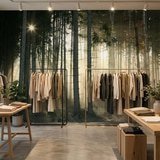 Wall Murals: Glow in the woods 12