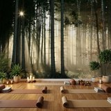 Wall Murals: Glow in the woods 6